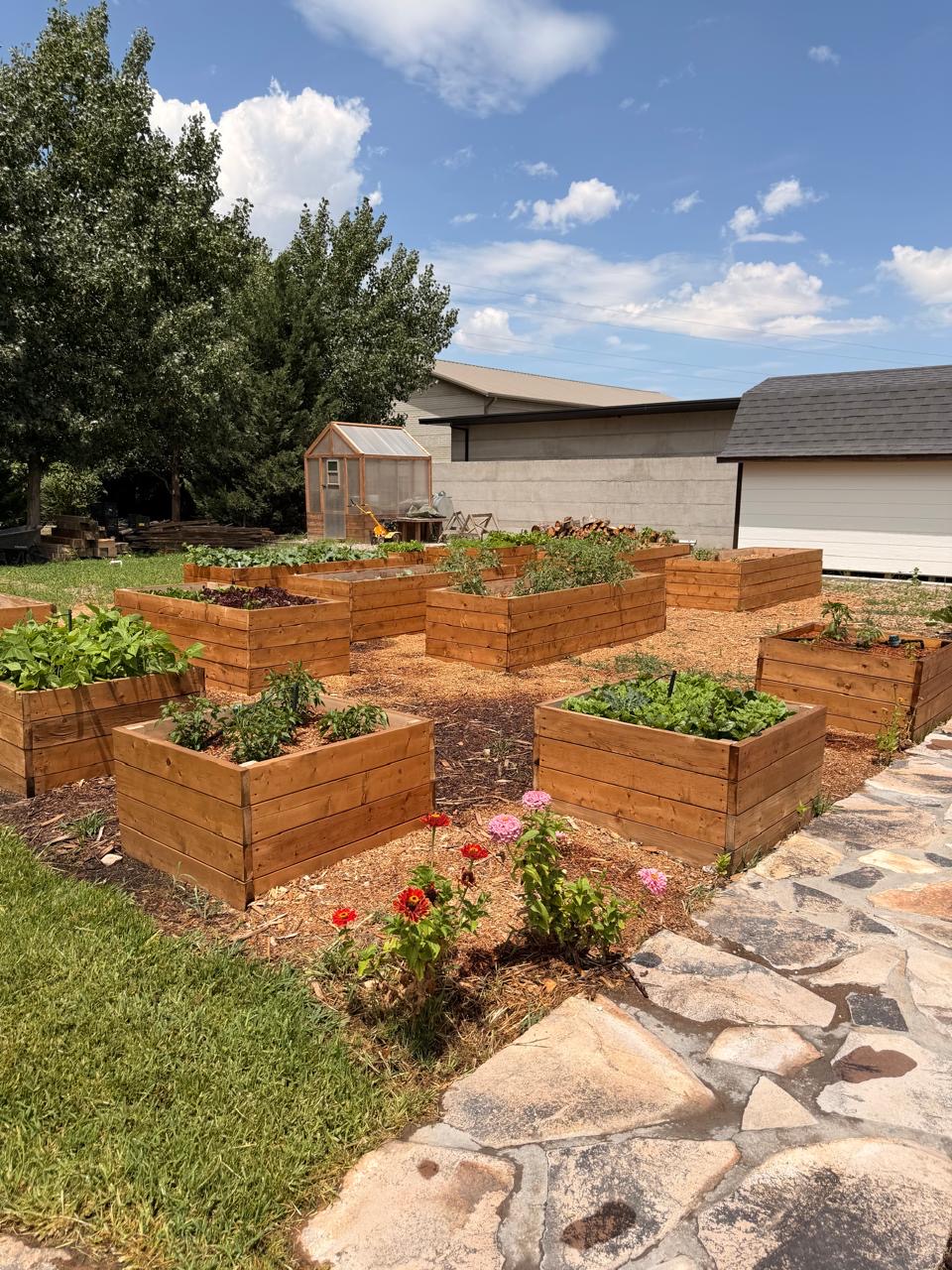 Cedar raised beds, greenhouse and flagstone path in the kitchen garden