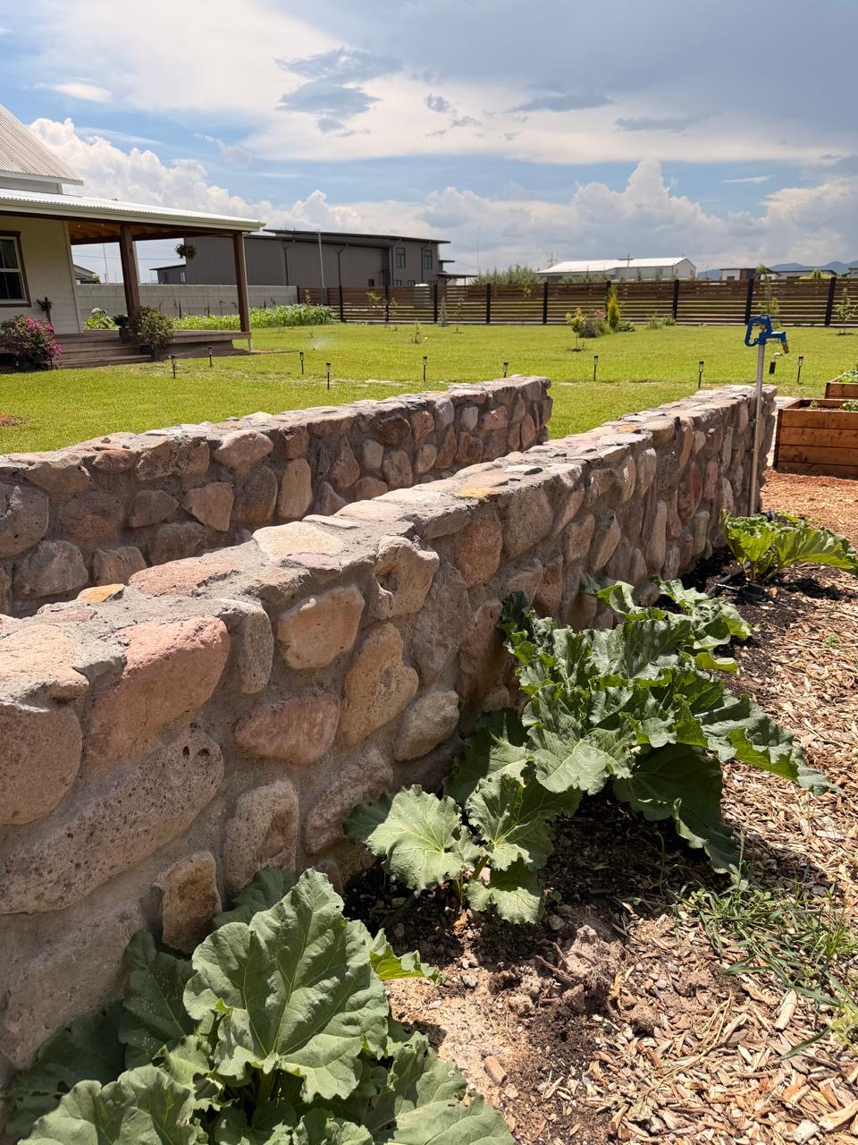 Hand-laid stone retaining wall with rhubarb growing alongside